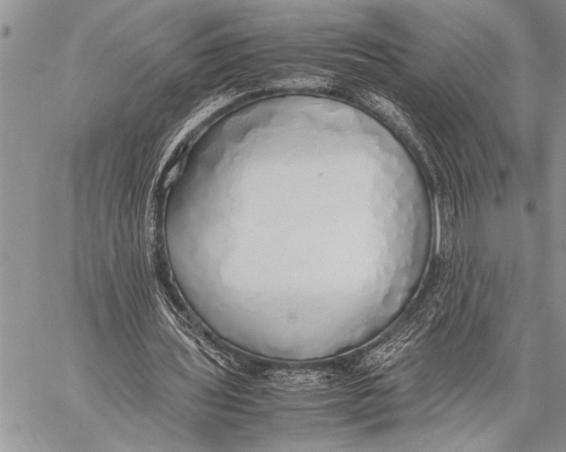 X0000058130435200510171340