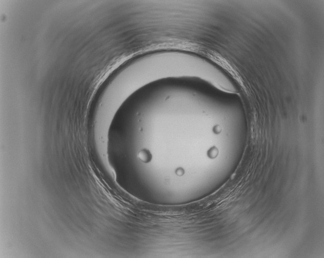 X0000058130436200510171340