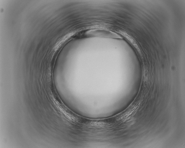 X0000058130437200510171340