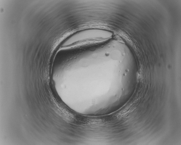 X0000058130438200510171340