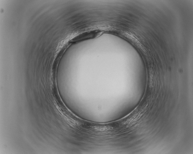 X0000058130439200510171340