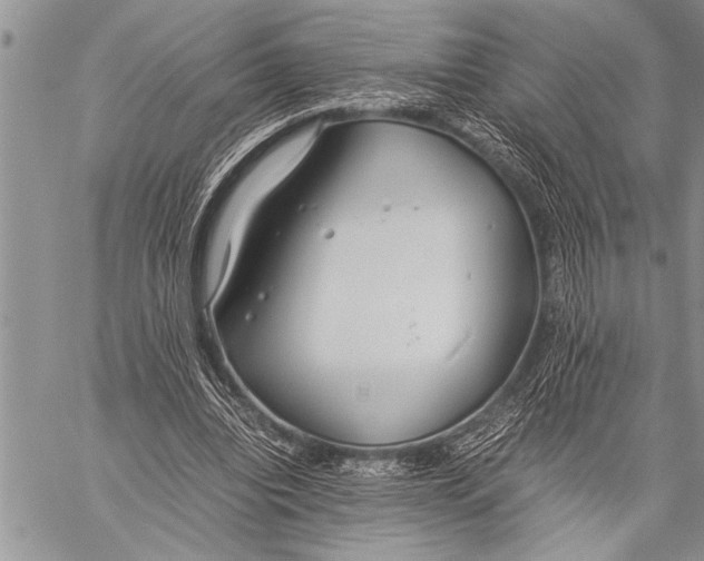 X0000058130440200510171340