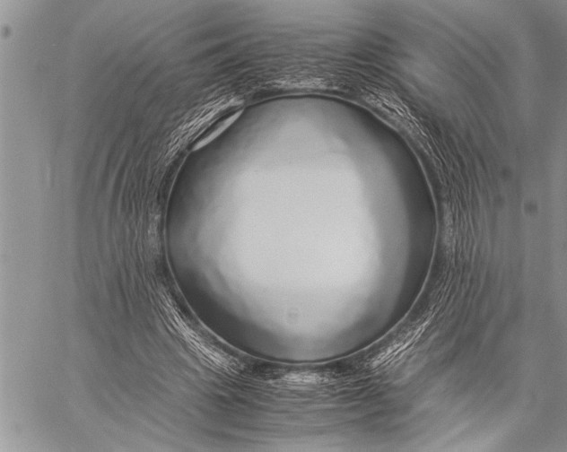 X0000058130441200510171340