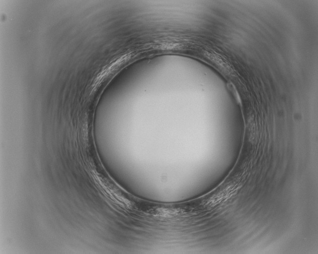 X0000058130442200510171340