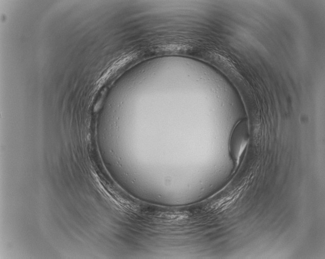 X0000058130443200510171340