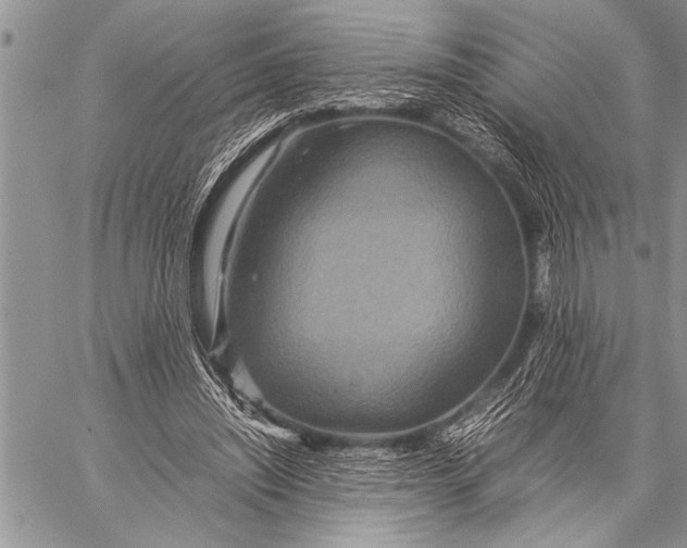 X0000058130444200510171340