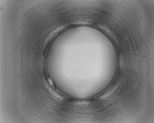 X0000058130445200510171340