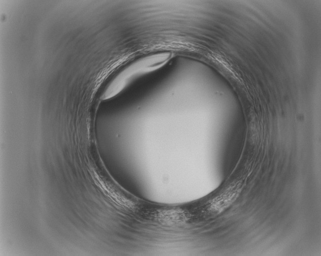 X0000058130446200510171340