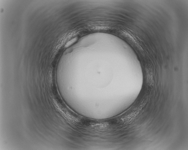 X0000058130447200510171340