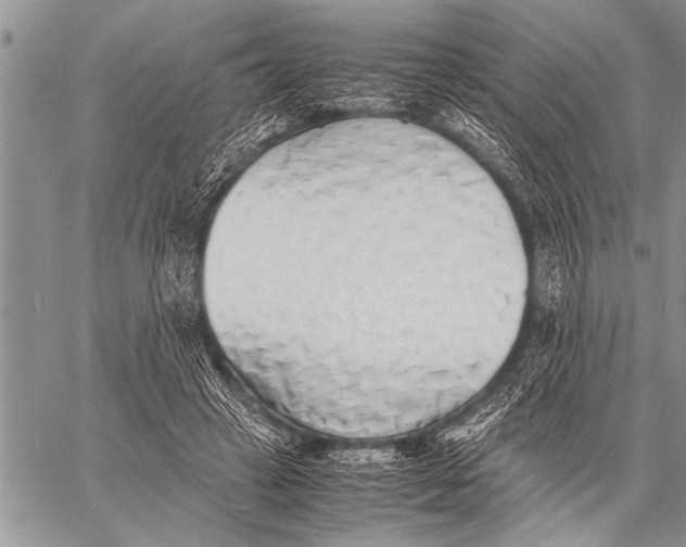 X0000058130449200510171340