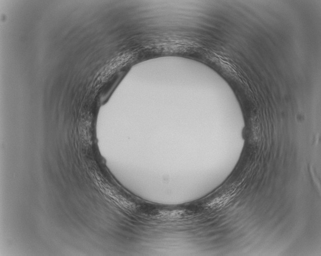 X0000058130450200510171340