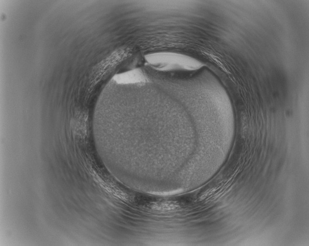 X0000058130451200510171340