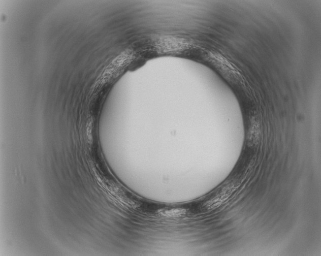 X0000058130452200510171340