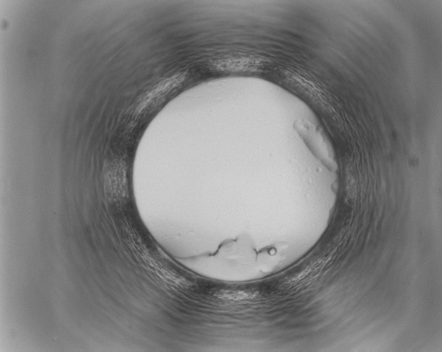 X0000058130453200510171340