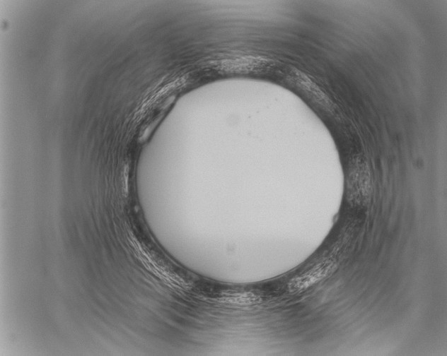 X0000058130454200510171340