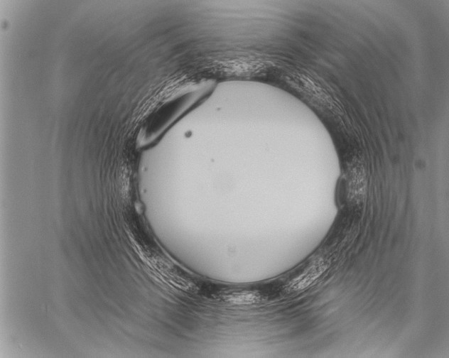 X0000058130456200510171340