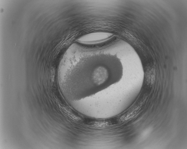 X0000058130458200510171341