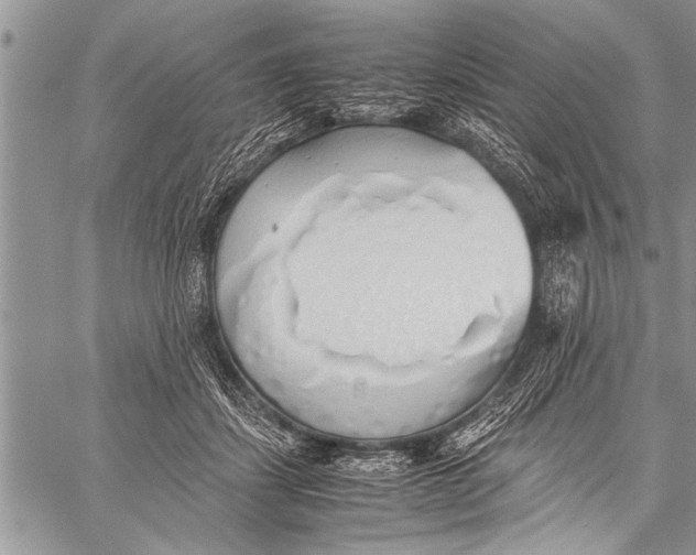 X0000058130459200510171341