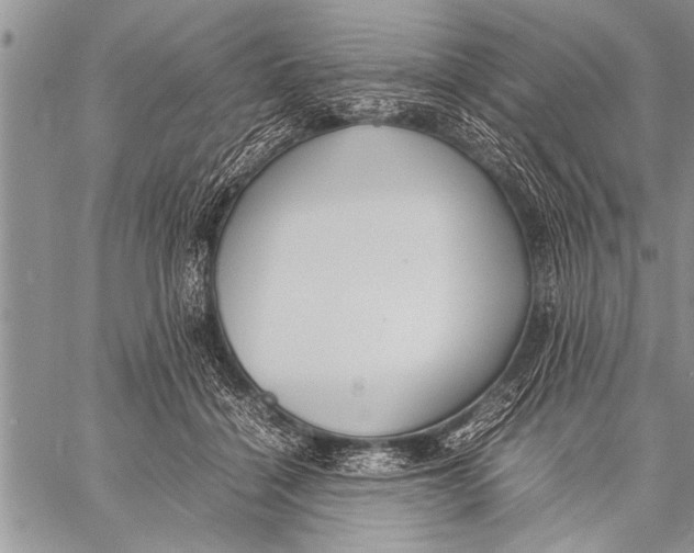 X0000058130460200510171341