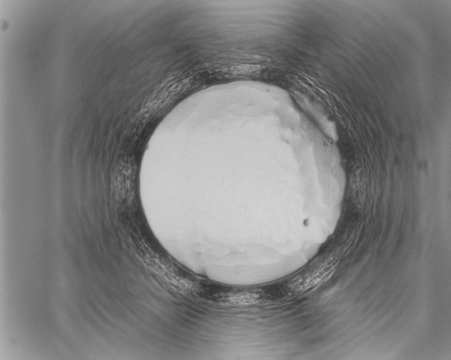 X0000058130462200510171341