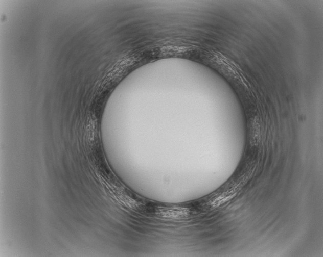 X0000058130463200510171341