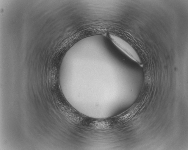 X0000058130464200510171341