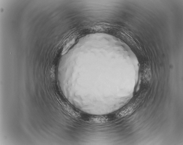 X0000058130466200510171341