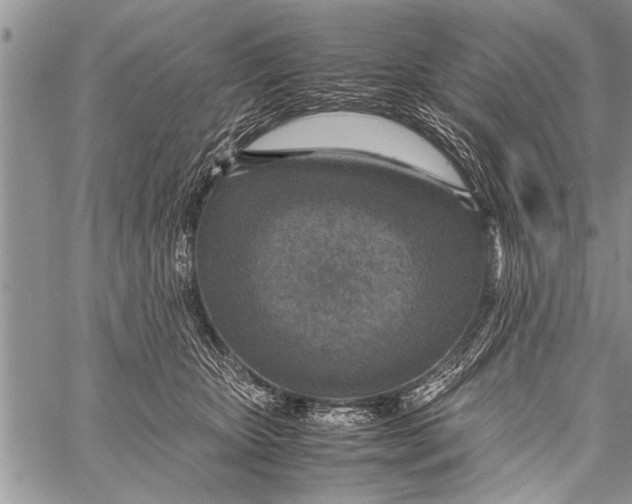 X0000058130467200510171341