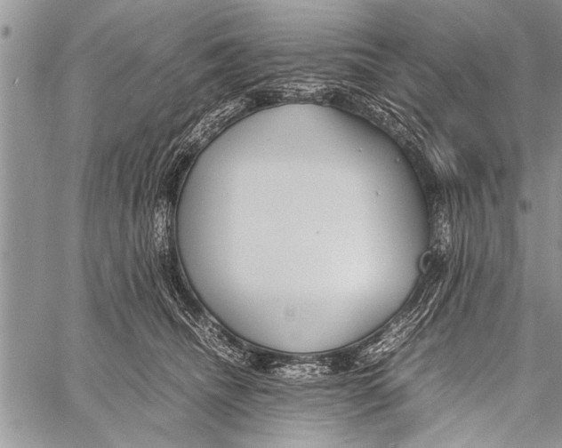 X0000058130468200510171341