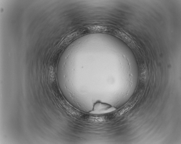 X0000058130469200510171341