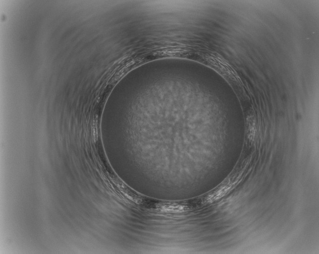 X0000058130471200510171341