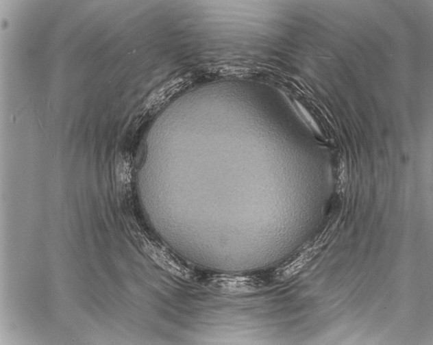 X0000058130472200510171341