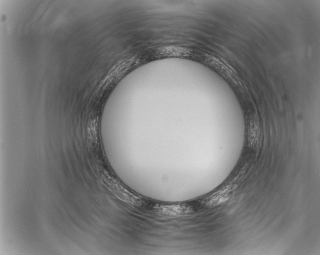 X0000058130473200510171341