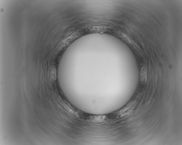 X0000058130474200510171341