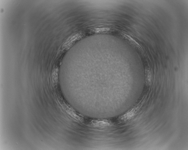 X0000058130475200510171341