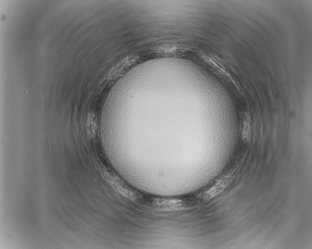 X0000058130476200510171341