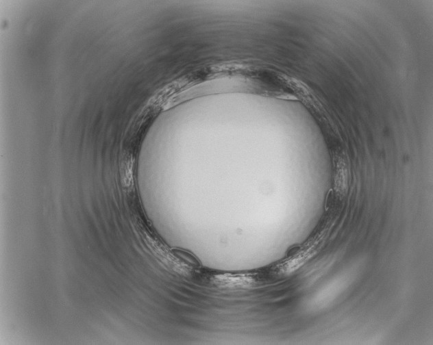 X0000058130477200510171341