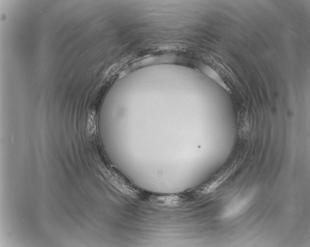 X0000058130478200510171341