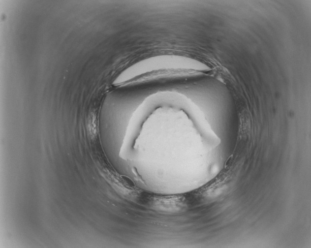 X0000058130479200510171341