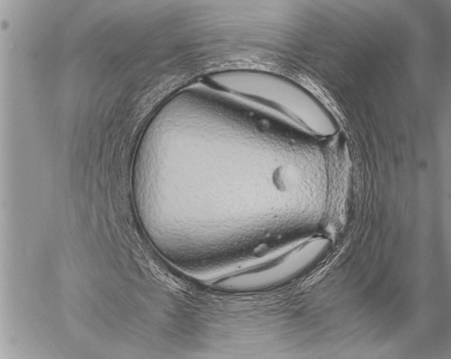 X0000058130481200510171340