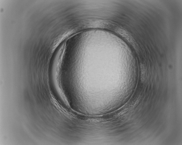 X0000058130482200510171340