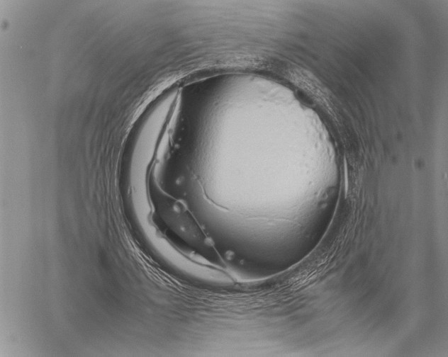 X0000058130483200510171340