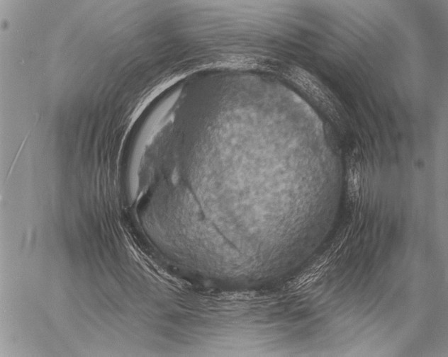 X0000058130484200510171340