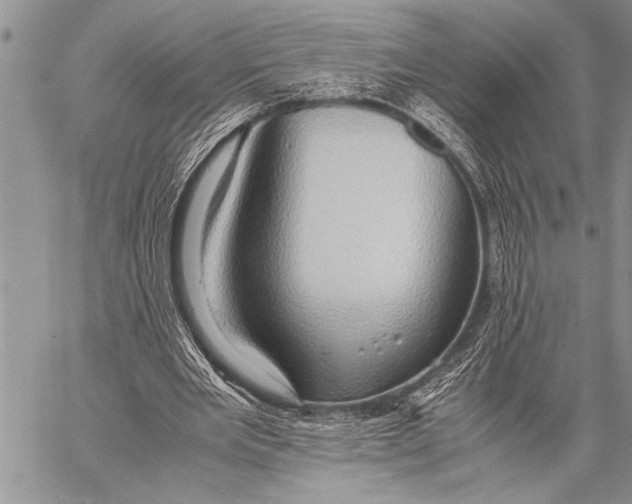 X0000058130485200510171340