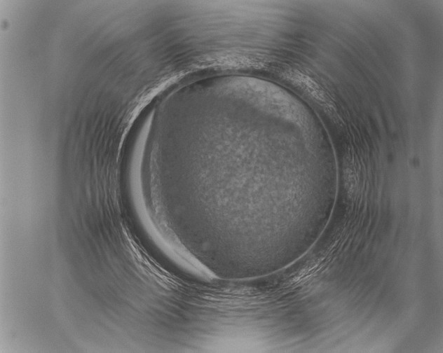 X0000058130488200510171340