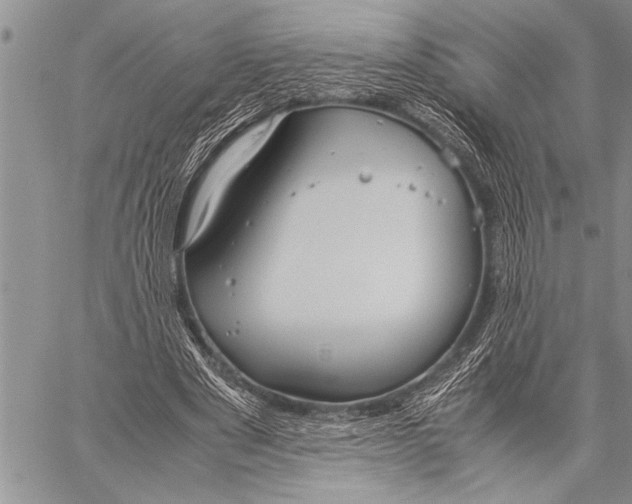 X0000058130489200510171340