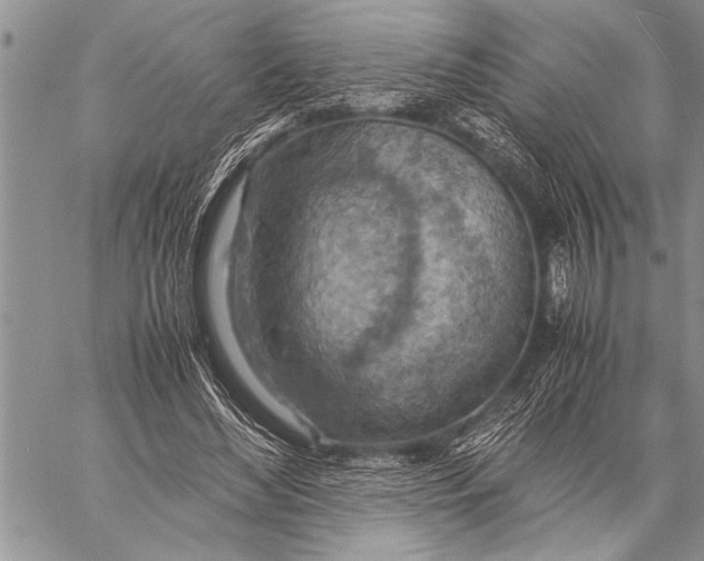 X0000058130492200510171340