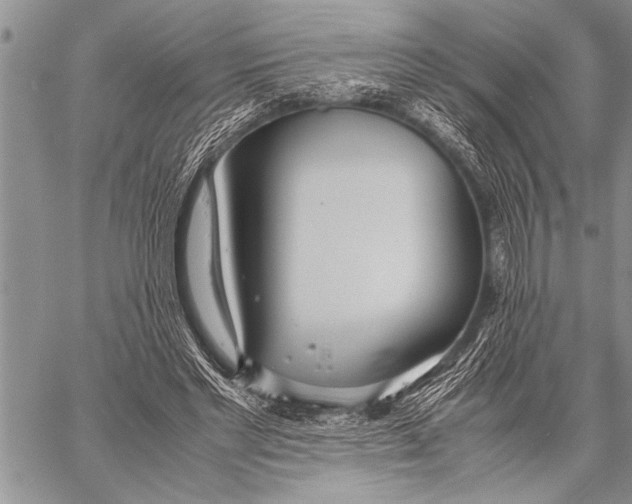 X0000058130493200510171340