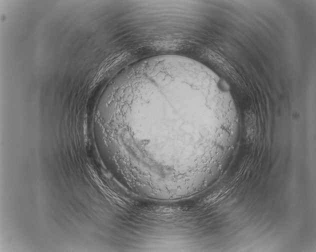 X0000058130494200510171340