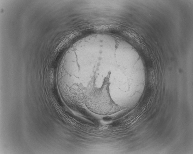 X0000058130495200510171340